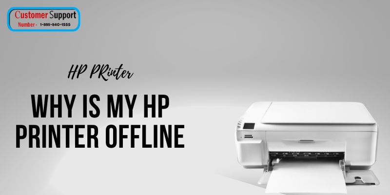 Why is my HP printer offline